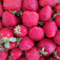 Instagrammable strawberries