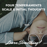 Four Temperaments Scale & Initial Thoughts